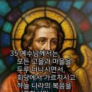 말씀 속의 하루〉 수확할 것은 많은데 일꾼은 적다. 마태오복음 9장 32-38절 2026년 7월 7일 이미지