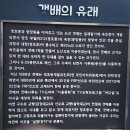 폭설이 내린 설악산을 찾아서~~~ 이미지