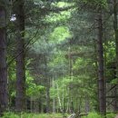 엠브이피 이미지