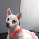 살롱3039 이미지