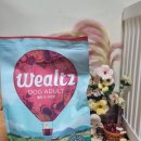 독 | 🧸웰츠 독 어덜트 후기🧸