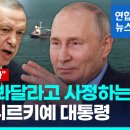 [영상] 자칭 '우크라전 중재자' 에르도안 "푸틴 나쁘게만 보지 말자" 이미지