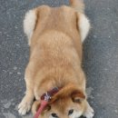 한마디