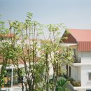 신라 Jeep | 코닥 펀 세이버(Fun Saver) 27 / 코닥 울트라 맥스(Ultra Max) 400 / 코닥 포트라(Portra) 160 필름...