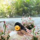 스튜디오로이 | 로이스튜디오 웨딩촬영 후기 (사전미팅 및 카톡안내)