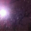 몽산포펜션 하얀집 이미지