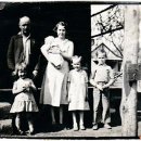 멜란지(melange) 이미지