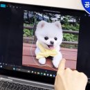 스터닝네일