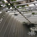 한글2010 활용 이미지