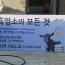 석등슬치로 이미지