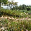 나산카센터 이미지