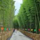 와룡지구 이미지