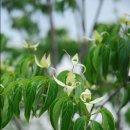 오류동역 이미지