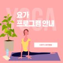 다이어트요가-C 이미지