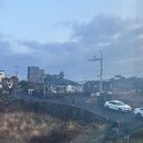 11500-7-03-02 | 👼🏻26/02/27~03/02 루나와 함께 하는 제주 태교여행 두번째날👼🏻