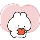 광주화정중학교 이미지