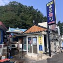 포항식 물회 맛집 | 전현무계획 이동국 여남끝집 ‘송골횟집‘ 내돈내산 후기, 주말 웨이팅