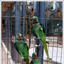 경주버드파크 이미지