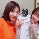 포뇨
