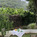 그날저지 이미지