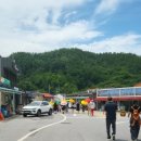 황금마차마을 이미지