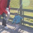 홈런목장 이미지