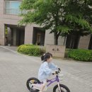 유아 자전거 리뷰(밸런스 자전거, 도쿄나인, 로얄베이비:제니, 로얄베이비: 스페이스 셔틀)