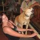 영어초급 이미지