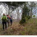 성사초등학교 이미지