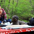 곰배령 주니네 이미지