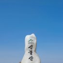 제 507차 영알7봉완등 신불산 기획정기산행 이미지