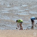 장봉도 수산