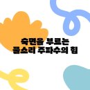 물소리 티스토리