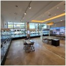 도그마루 고양이 강아지 무료분양 이미지