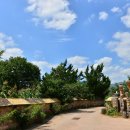 명옥헌원림2(입구) 이미지