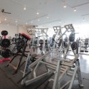 아레나 휘트니스 이미지