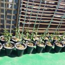 수정동농장 이미지