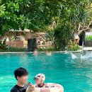 리젠시 | 발리 사누르 자유여행 숙소 추천 아이랑 가족여행 호텔 하얏트리젠시 후기