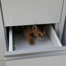 송도건국동물병원 이미지