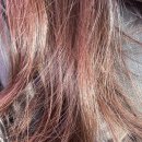 헤어살롱미올 | 트리트먼트 추천 바디브 미오 트리트먼트로 극손상모 회복한 후기