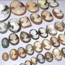 카메오컴퍼니 이미지