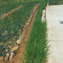 중앙정미소 이미지