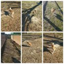 도기헤븐 이미지