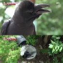 깜순이농장 이미지