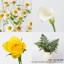 꾸까 꽃 정기구독 플로리스트 챌린지 내돈내산 도전!