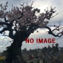 부림공인중개사사무소 이미지