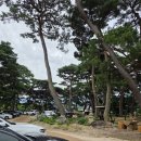신기경로당 | [김해 진례] 조용하고 여유로운 힐링대형카페 "카페파인"