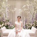 넥스트 유포리아 이미지