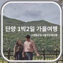 제비봉펜션 | 충북 단양 1박2일 가을여행 여행일기 / 모몽이 웃긴사진 대방출 (왜 저래 진짜 어휴)