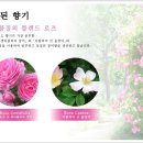화장품플러스 - 서대문구 수색로2길 3 | 화장품플러스